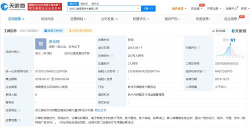 技术咨询及技术服务的核心价值与应用实践